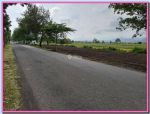 thumbnail-tanah-murah-sleman-kawasan-candi-prambanan-0