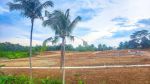 thumbnail-jual-cepat-tanah-kavling-harmoni-farm-house-luas-200-m2-5