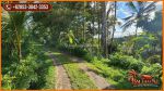 thumbnail-lokasi-strategis-54-are-tanah-perkebunan-siap-bangun-2