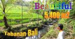 thumbnail-lokasi-strategis-54-are-tanah-perkebunan-siap-bangun-0