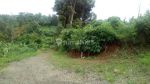 thumbnail-tanah-kosong-di-citra-green-dago-bandung-2