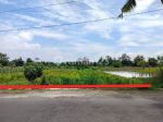 thumbnail-jual-tanah-murah-di-barat-puskesmas-seyegan-sleman-2