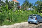 thumbnail-tanah-cocok-untuk-tempat-tinggal-4