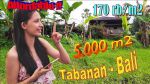 thumbnail-dijual-nett-tanah-seluas-5000-m2-dominan-datar-0