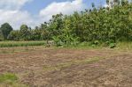 thumbnail-dijual-tanah-3621m2-watukebo-rogojampi-banyuwangi-jawa-timur-0