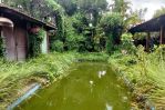 thumbnail-dijual-buc-villa-butuh-renovasi-8-are-lodtunduh-ubud-8