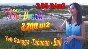Tanah Sawah 32 Are Dekat Pantai Yeh Gangga Tabanan
