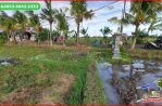 thumbnail-tanah-sawah-32-are-dekat-pantai-yeh-gangga-tabanan-5