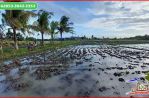 thumbnail-tanah-sawah-32-are-dekat-pantai-yeh-gangga-tabanan-8