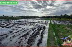 thumbnail-tanah-sawah-32-are-dekat-pantai-yeh-gangga-tabanan-10