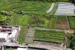 thumbnail-dijual-tanah-kavling-view-sawah-buc-900-jtare-di-kerobokan-kelod-8