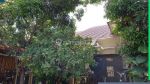 thumbnail-harga-nego-rumah-mewah-dkt-summarecon-kota-bandung-timur-318t1-0