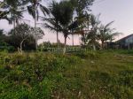 thumbnail-di-jual-tanah-di-pedesaan-ubud-view-sawah-dan-gunung-agung-2