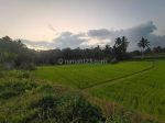 thumbnail-di-jual-tanah-di-pedesaan-ubud-view-sawah-dan-gunung-agung-0