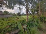 thumbnail-di-jual-tanah-di-pedesaan-ubud-view-sawah-dan-gunung-agung-4