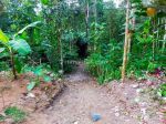 thumbnail-tanah-surat-shm-kebon-kopi-murah-di-malang-1