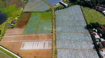 JUAL TANAH SAWAH LOKASI 100 MTR DARI JALAN RAYA di CIPADA CIKALONG BANDUNG BARAT