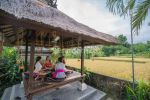 thumbnail-resort-and-spa-jalan-utama-sayan-ubud-8