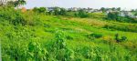 thumbnail-top-urgent-di-jual-tanah-view-sawah-lokasi-kaba-kaba-kediri-tabanan-2