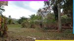 thumbnail-harga-heboh-rumah-sejuk-city-view-di-sindanglaya-bandung-282h5-3