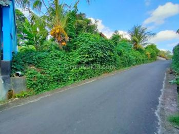 Tanah area pererenan canggu tumbak bayuh utama