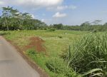 thumbnail-tanah-3500-m2-shmdi-gondanglegi-malang-akses-mobil-simpangan-0