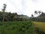 thumbnail-jual-tanah-jogja-potensi-cuan-tanah-murah-pinggir-sungai-2