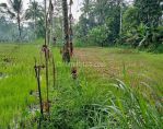 thumbnail-dijual-tanah-di-ubud-view-sawah-dan-pedesaan-asri-8