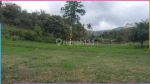 thumbnail-toplah-rumah-minimalis-view-kota-di-sindanglaya-bandung-274h5-1