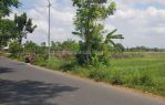 thumbnail-jual-tanah-luas-1849m-shm-sawah-di-banguntapan-bantul-yogyakarta-1