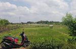 thumbnail-jual-tanah-luas-1849m-shm-sawah-di-banguntapan-bantul-yogyakarta-0