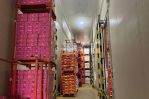 thumbnail-disewakan-gudang-cold-storage-di-jalan-tenaga-malang-3