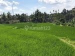 thumbnail-dijual-tanah-murah-los-sungai-petanu-di-ubud-6