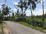 thumbnail-dijual-tanah-murah-los-sungai-petanu-di-ubud-0