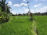 thumbnail-dijual-tanah-murah-los-sungai-petanu-di-ubud-10