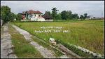 thumbnail-tanah-jogja-shm-pekarangan-dekat-royal-ambarukmo-tanpa-ribet-4