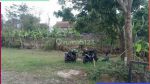 thumbnail-toplah-rumah-minimalis-city-view-di-sindanglaya-bandung-106h5-2