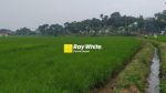 thumbnail-tanah-bentuk-sawah-di-mainroad-alfathu-soreang-2