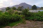 thumbnail-villa-tepatnya-di-punggung-gunung-salak-cocok-untuk-invest-0