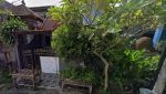 thumbnail-lelang-rumah-1-lantai-jl-gong-suling-kuta-selatan-badung-bali-8