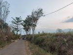 thumbnail-tanah-luas-dan-murah-di-poros-jalan-aspal-di-bocek-kab-malang-5