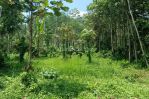 thumbnail-tanah-kebun-durian-murah-di-malang-raya-3