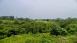 thumbnail-dijual-tanah-di-ubud-view-cantik-jungle-lembah-dan-sungai-1