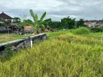 thumbnail-miliki-investasi-tanah-view-persawahan-di-munggu-badung-bali-6