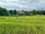 thumbnail-miliki-investasi-tanah-view-persawahan-di-munggu-badung-bali-4