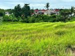 thumbnail-miliki-investasi-tanah-view-persawahan-di-munggu-badung-bali-0