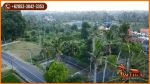 thumbnail-potensial-60-are-di-sukawati-pinggir-jalan-posisi-tanah-hook-5