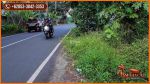 thumbnail-potensial-60-are-di-sukawati-pinggir-jalan-posisi-tanah-hook-6