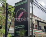 thumbnail-tanah-premium-di-main-road-ubud-dg-luas-tanah-540m2-4